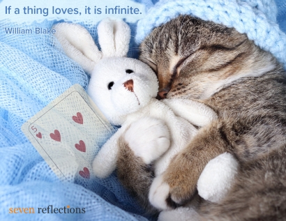 If a thing loves, it is infinite. - William Blake