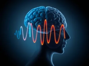 Brain metacognition, human head profile, blue theta waves from occipital, orange beta waves from frontal cortex. logo