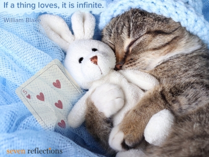 If a thing loves, it is infinite. - William Blake