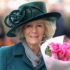 Camilla Duchess Of Cornwall