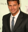 David Boreanaz