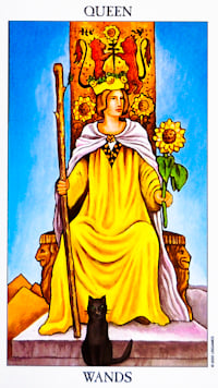 <h1>Queen Of Wands Tarot Card</h1> Tarot