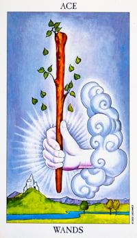 Ace Of Wands Tarot Card