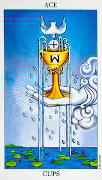 Ace Of Cups Tarot Card