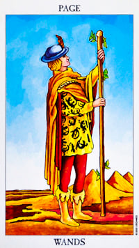 Page of Wands Tarot